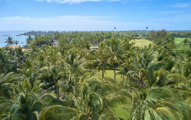 Mauritius adasının güzel doğası