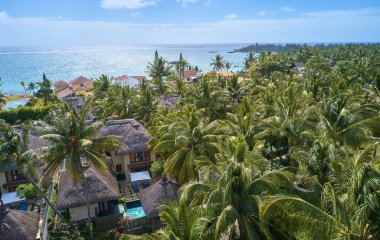 Mauritius adasının güzel doğası