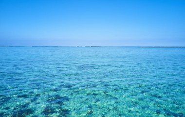 Mauritius adasının güzel doğası
