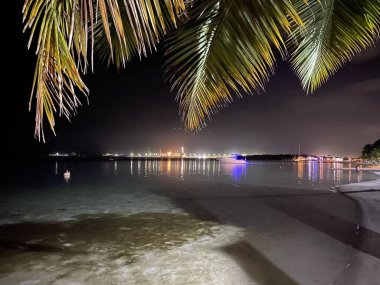 Tropikal adada gece hayatı