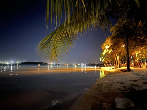 View Palm Trees Beach Lights Night — Stock Photo, Image