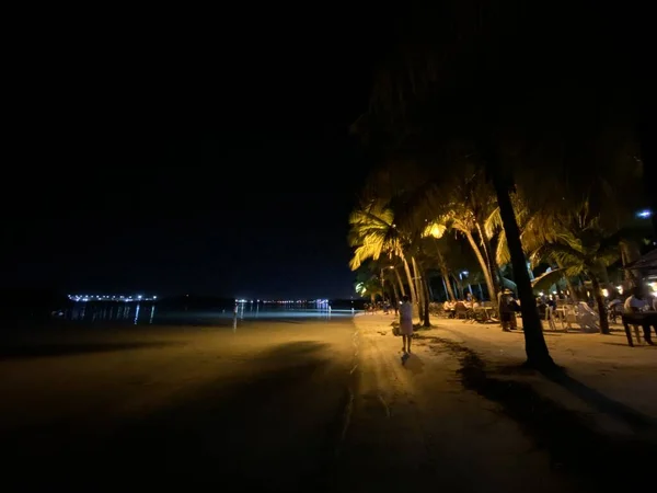 Vista Palmeiras Praia Com Luzes Noite — Fotografia de Stock