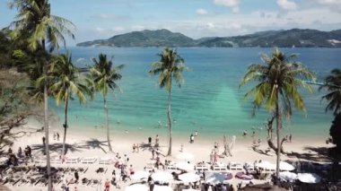 Palmiye ağaçlı tropik sahil manzarası