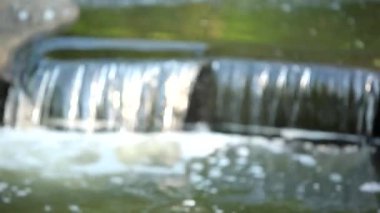 İlkbaharda ormanda küçük bir şelale