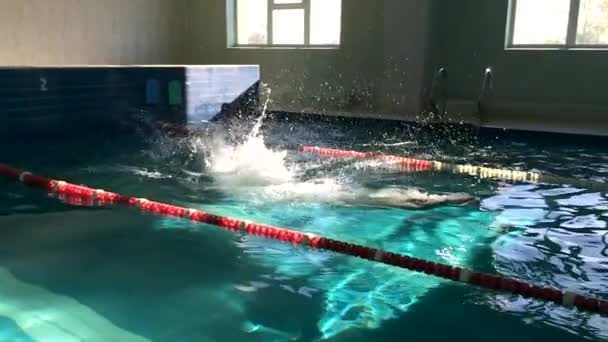 Κολυμβητής Πηδάει Στην Πισίνα — Αρχείο Βίντεο