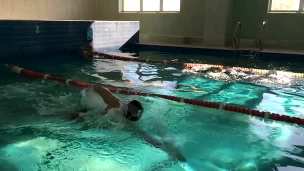 Simmare Simmar Pool Slow Motion — Stockvideo