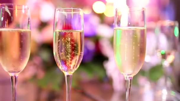 Champagne Dans Des Verres Sur Fond Coloré Banquet — Video