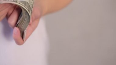 Dolarları sayan kadın eli.