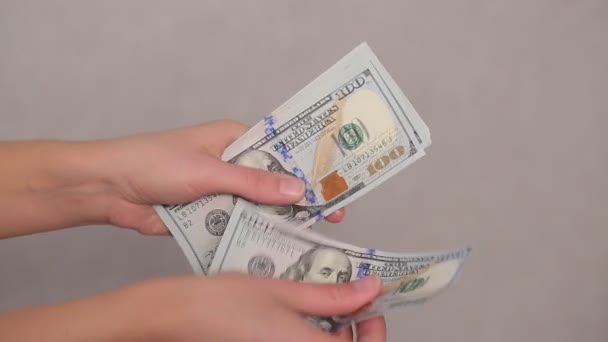 Κλείσιμο Γυναικείων Χεριών Καταμέτρηση Χαρτονομισμάτων Δολάρια — Αρχείο Βίντεο