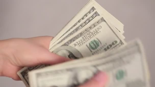 Primer Plano Las Manos Femeninas Contando Billetes Dólar — Vídeos de Stock