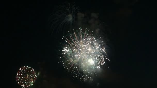 Gyönyörű Tűzijáték Városban Éjszaka — Stock videók