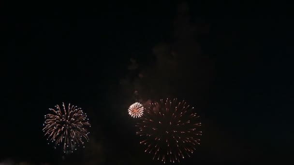 Όμορφα Πυροτεχνήματα Στην Πόλη Νύχτα — Αρχείο Βίντεο