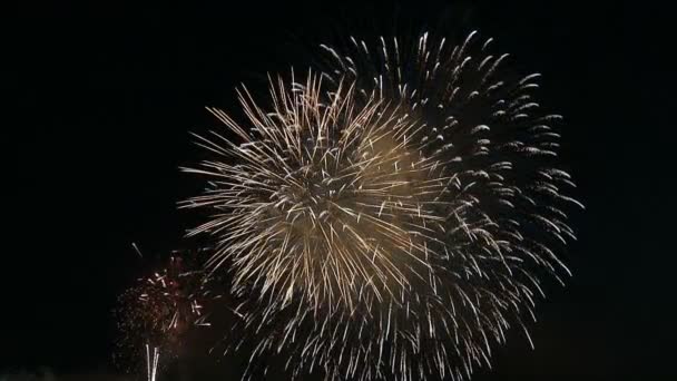 Lindos Fogos Artifício Cidade Noite — Vídeo de Stock