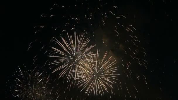 Lindos Fogos Artifício Cidade Noite — Vídeo de Stock