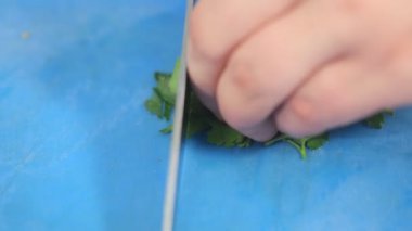 Mavi bir karatahtanın üzerinde taze maydanoz doğrayan erkek eli.