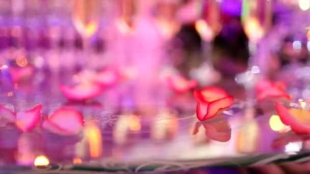 宴会上 背景艳丽 戴着眼镜的香槟 — 图库视频影像