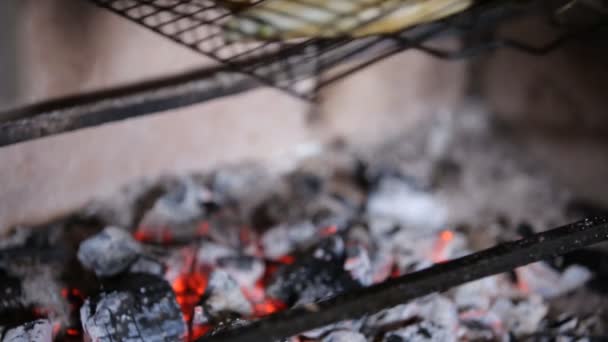 Leckere Gourmet Tintenfischstücke Auf Dem Grill — Stockvideo