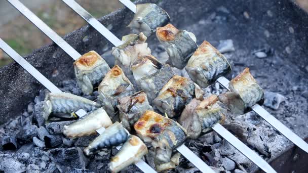 Köstliche Gebratene Makrelenfischstücke Spieß Auf Dem Grill — Stockvideo