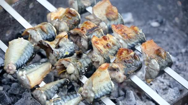 Pyszne Smażone Kawałki Ryb Makreli Szaszłykach Grillu — Wideo stockowe