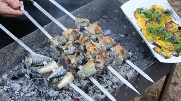 Finom Sült Makréla Hal Darabok Nyárson Grillen — Stock videók