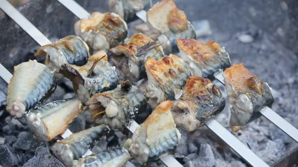 Köstliche Gebratene Makrelenfischstücke Spieß Auf Dem Grill — Stockvideo