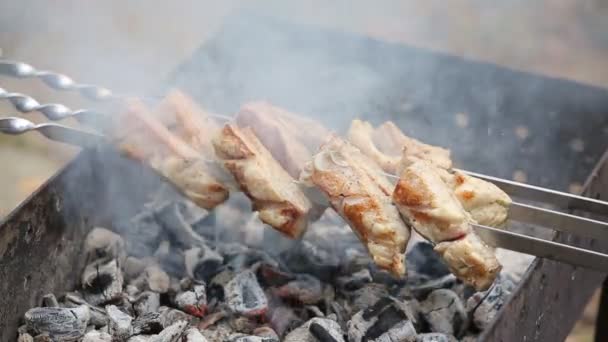 Pork Ribs Skewers Frying Grill — Stock Video
