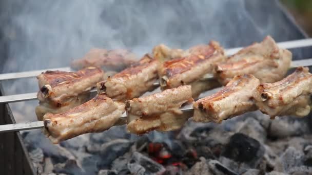 Żeberka Wieprzowe Szaszłykach Smażone Grillu — Wideo stockowe