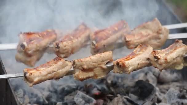 Côtes Porc Sur Les Brochettes Frire Sur Gril — Video