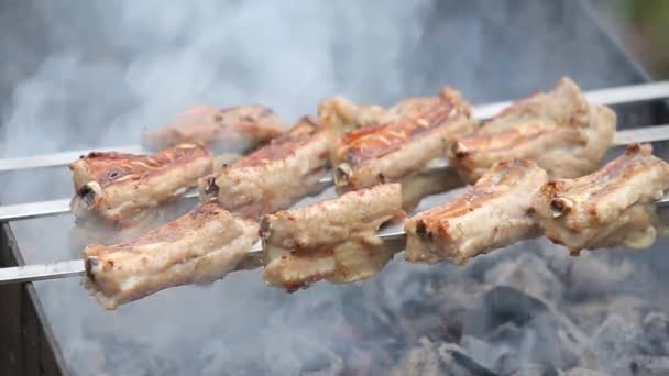 Côtes Porc Sur Les Brochettes Frire Sur Gril — Video