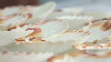 Yemekler nefis. Sofrada istiridye var.