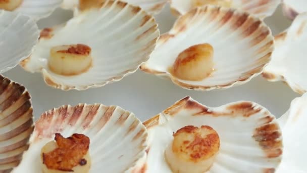 Koken Heerlijke Voorgerecht Sint Jakobsschelpen Tafel — Stockvideo