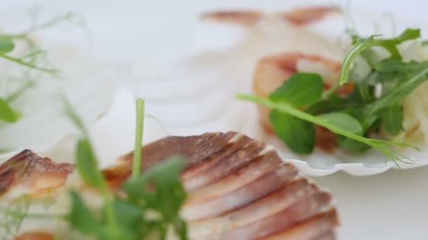 Delicious Set Appetizer Scallops Table — Stock Video