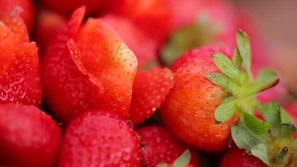 Appetizing Căpșuni Proaspete Cireșe Boluri — Videoclip de stoc