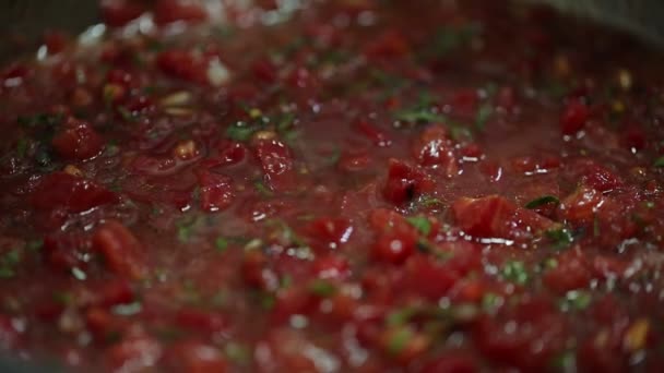 Κοντινή Προβολή Νόστιμης Κόκκινης Σάλτσας Ντομάτες Και Μπαχαρικά — Αρχείο Βίντεο