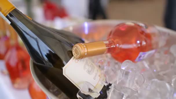 Şarap Şişeleri Bir Restoranda Buz Kovasında Yatıyor — Stok video