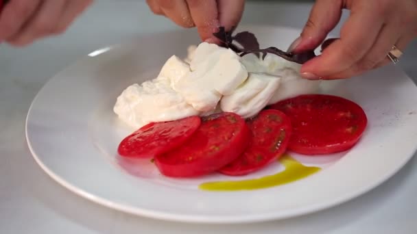 Dilimlenmiş Domatesli Taze Peynir Zeytinyağı Beyaz Tabakta Lezzetli Bir Yemek — Stok video