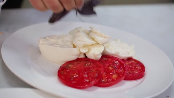 Dilimlenmiş Domatesli Taze Peynir Zeytinyağı Beyaz Tabakta Lezzetli Bir Yemek — Stok video