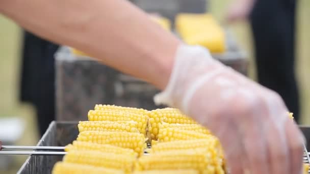 Osoba Vaření Kukuřice Grilu Přírodě — Stock video