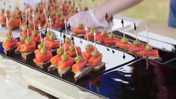 Primo Piano Vista Deliziosi Spuntini Con Salmone Cetrioli All Aperto — Video Stock