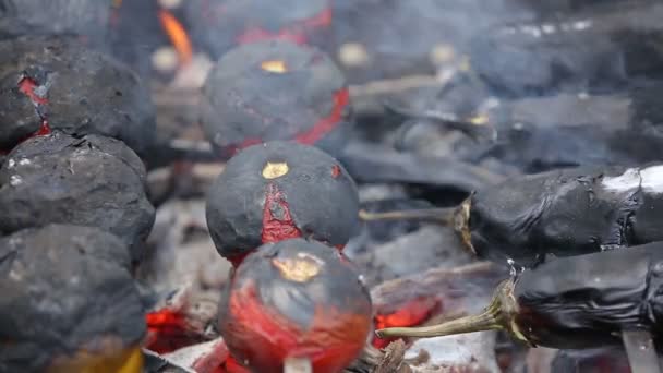 Pyszne Świeże Warzywa Szaszłyki Grillu — Wideo stockowe