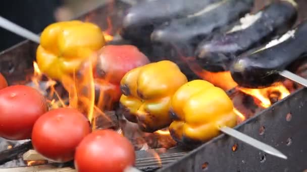 Läckra Färska Grönsaker Spett Grillen — Stockvideo