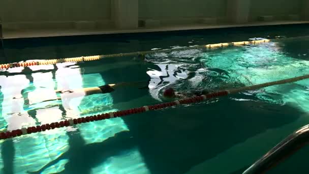 Nadadores Nadando Piscina Cámara Lenta — Vídeos de Stock