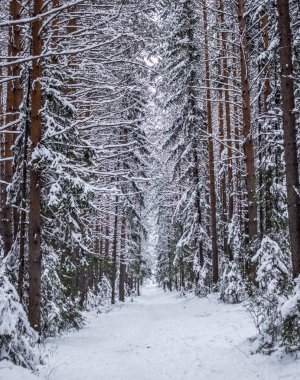Ladin 'in arasındaki mesafeye giden yol