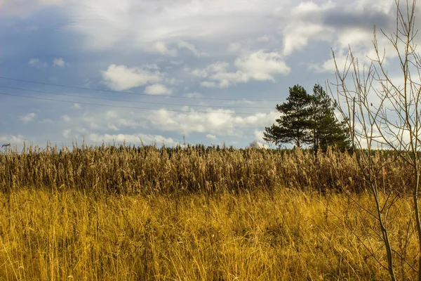 Golden Ural Field Clouds — Stock Photo, Image