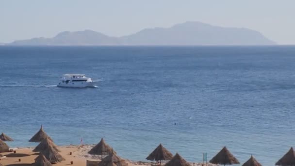 Barco a motor turístico navega superfície azul água do mar passado praia — Vídeo de Stock