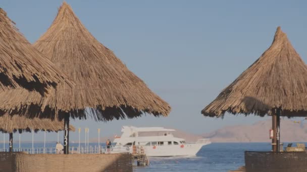 Luxury white motorboat sails on blue water along calm beach — Stock Video