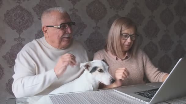 Літня пара сидить в блокноті, тримаючи білого собаку вдома — стокове відео