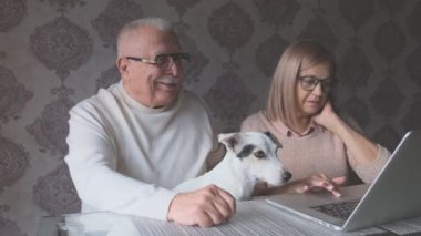 Sarışın, yaşlı kadın internette dizüstü bilgisayarla geziniyor.