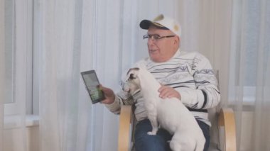 Beyaz köpek, insan dizlerinin üzerinde oturan modern tablet ekrana bakıyor.