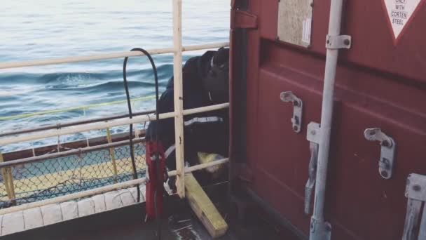 Hårt elektriskt svetsarbete på tankfartyget Natig Aliev — Stockvideo